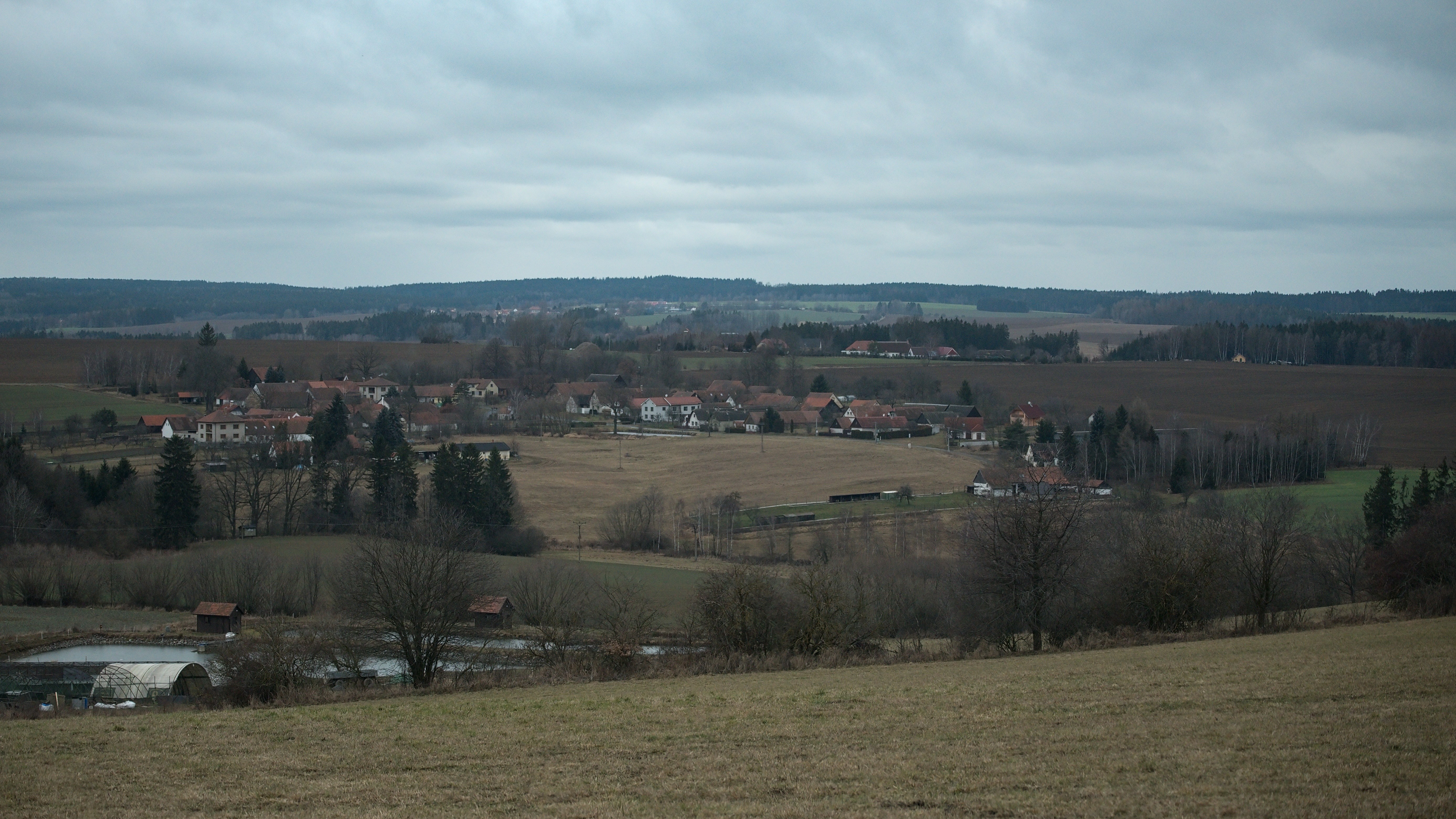  DSC1876 (1)
